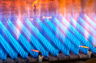 Linns gas fired boilers